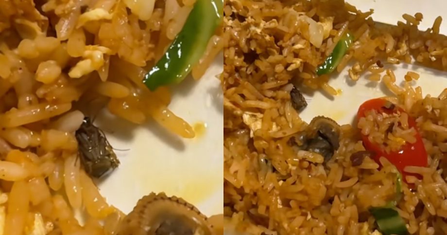 Extra ingredient: Cockroach allegedly found in fried rice bought from Kampung Admiralty restaurant, Singapore News Extra ingredient: Cockroach allegedly found in fried rice bought from Kampung Admiralty restaurant, Singapore News