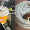 McDonald’s coffee moth incident | STOMP