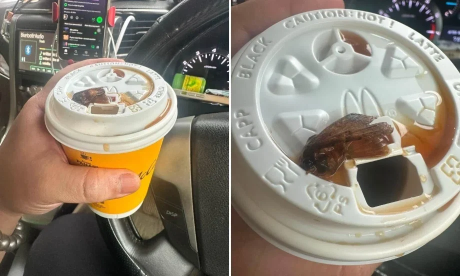 McDonald’s coffee moth incident | STOMP McDonald’s coffee moth incident | STOMP