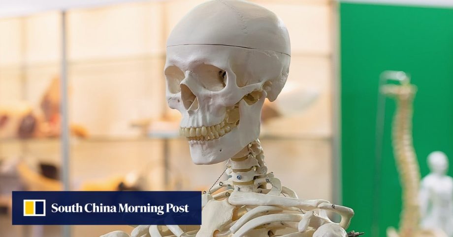 Why your bones could be a key to better brain health and becoming a ‘super-ager’ Why your bones could be a key to better brain health and becoming a ‘super-ager’