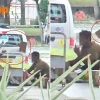 Stomper angered by workers tossing parcels