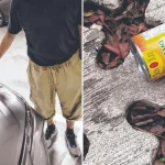 High-rise littering damages car at Bedok HDB