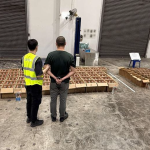 Customs arrest Chinese national, seize 1,188 bottles of duty-unpaid liquor in Kaki Bukit, Singapore News
