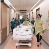 Multiple organ failure can occur in healthy persons: Doctors