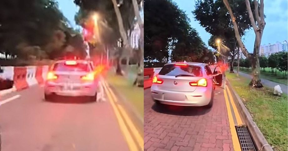 Woman horrified to see dog hanging outside moving car: ‘Insanely scary’, Singapore News