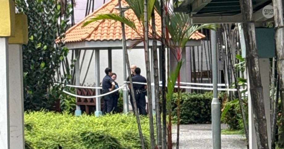 76-year-old man found dead at foot of Everton Park HDB block , Singapore News