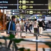 Man arrested for alleged theft in Changi Airport