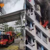 Sembawang HDB flat fire: arson investigation