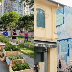 What makes a city liveable? How design shapes urban life