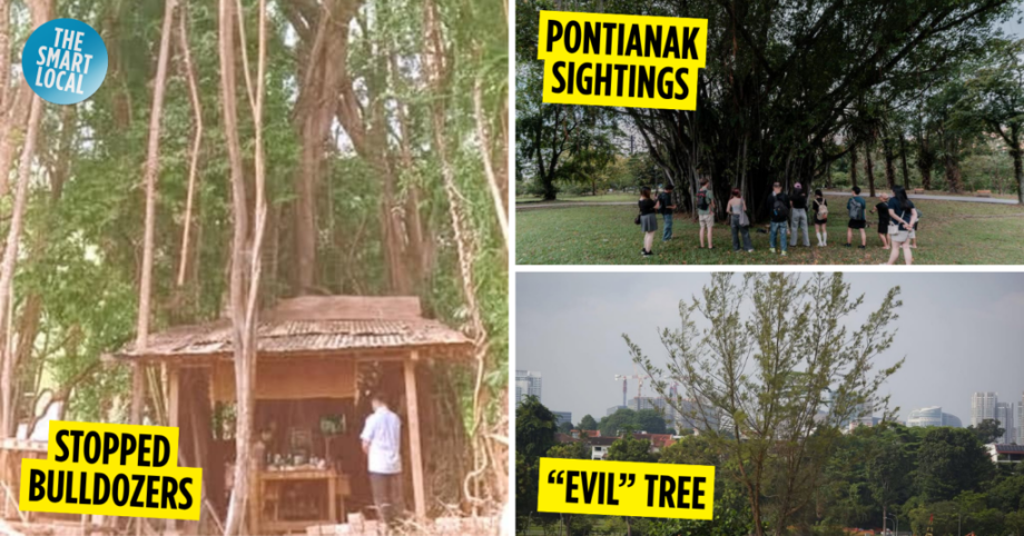 Supernatural & Sacred Trees In Singapore Supernatural & Sacred Trees In Singapore