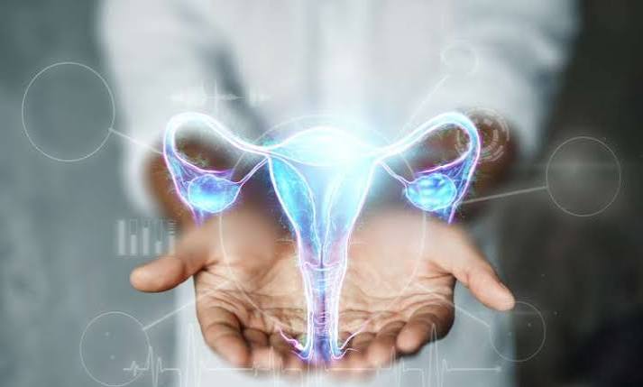 AbbVie Launches ELAHERE in Singapore for FRα-Positive Platinum-Resistant Ovarian Cancer AbbVie Launches ELAHERE in Singapore for FRα-Positive Platinum-Resistant Ovarian Cancer