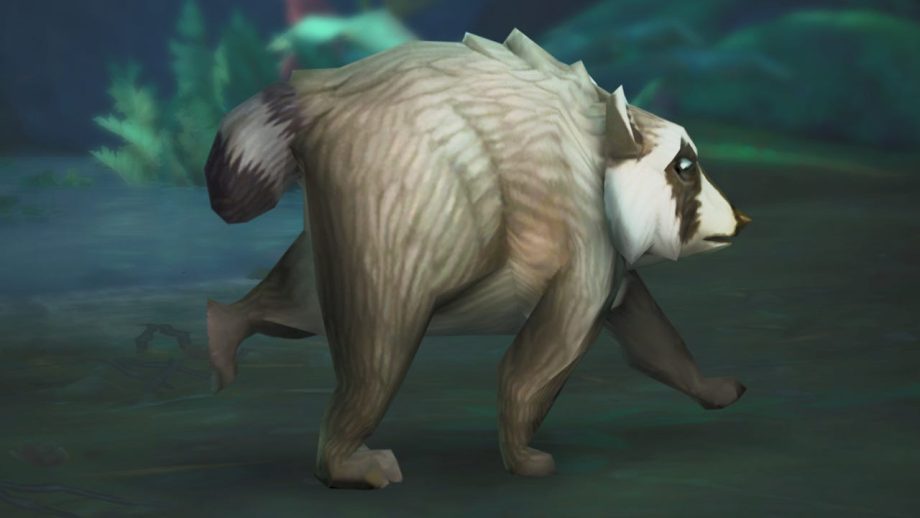 Jimothy the Viral Raccoon Joins Video Games Like World of Warcraft and RuneScape Jimothy the Viral Raccoon Joins Video Games Like World of Warcraft and RuneScape