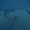 Engadget Indie Pitch: Penguin Colony