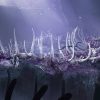 7 reveals about MTG’s Nauctis, Zhalfir, Kamigawa: Titanbreach, and more