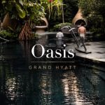 @.marc.ng A quiet poolside BBQ dinner in the middle of Orchard feels like a rare…