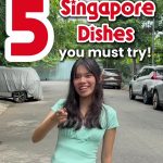 @singshiokvn  5 Singaporean dishes you NEED to try!  If you’re new to Singaporea…