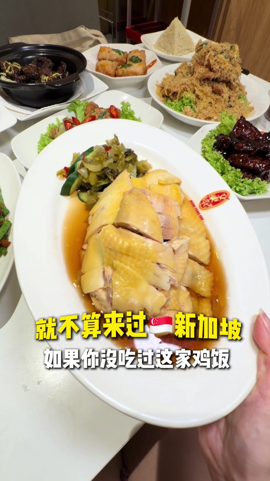 @starry.qiuqiu 如果你没吃过这家鸡饭，就不算来过新加坡！ #sgfoodie #新加坡美食 #新加坡生活 #sglife #上热门  …