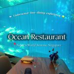 @priscillaharyanto Celebrating my husband’s birthday with a unique underwater di…