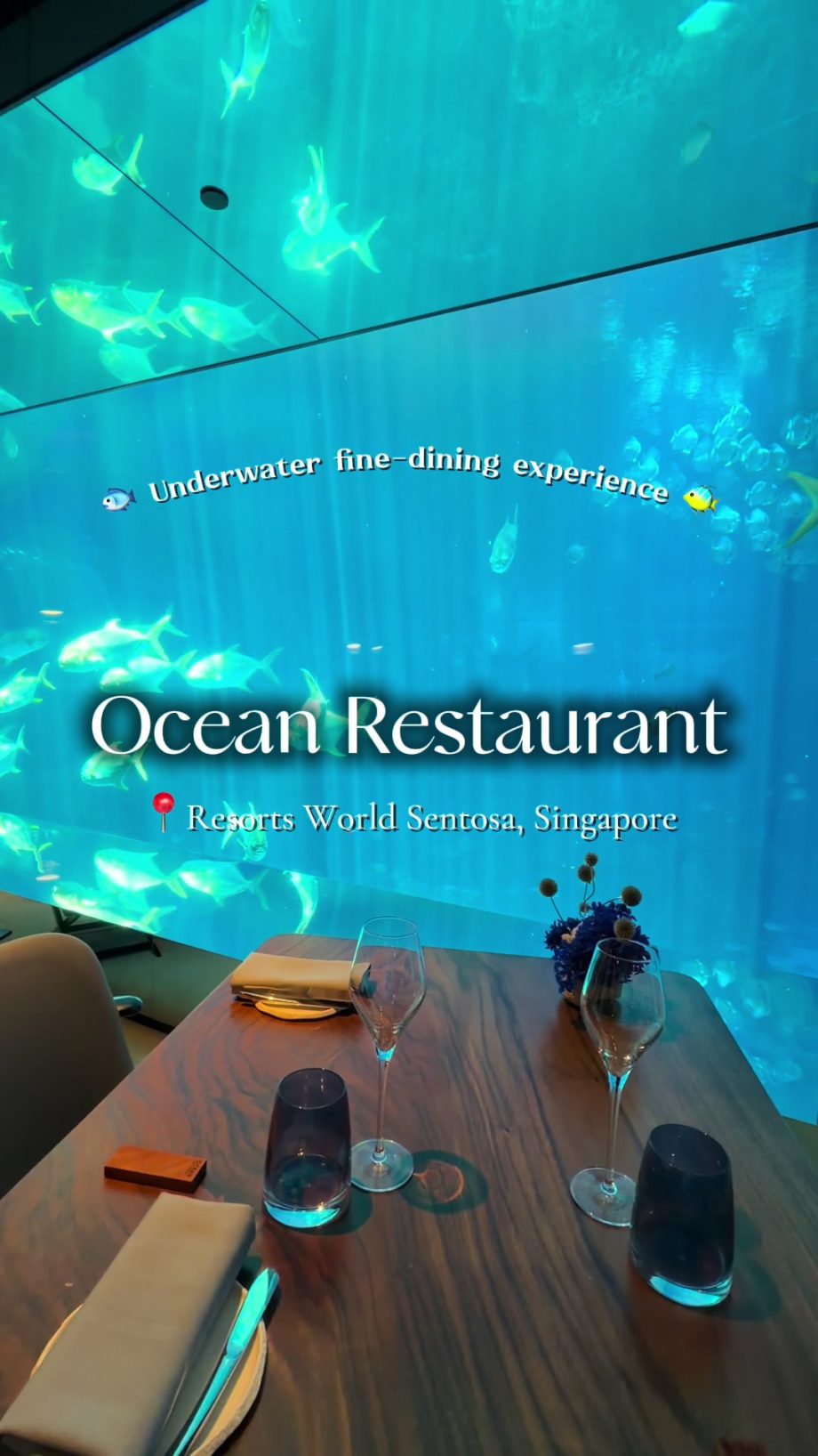 @priscillaharyanto Celebrating my husband’s birthday with a unique underwater di… @priscillaharyanto Celebrating my husband’s birthday with a unique underwater di…
