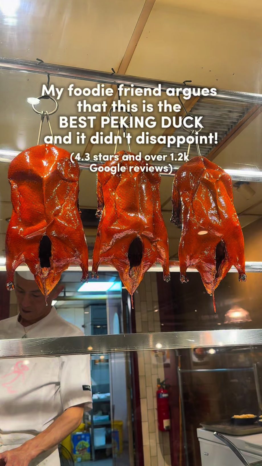 @sgadventurousduo BEST PEKING DUCK IN SG?? Kai Duck 391 Orchard Rd, 05-10/11 Nge…