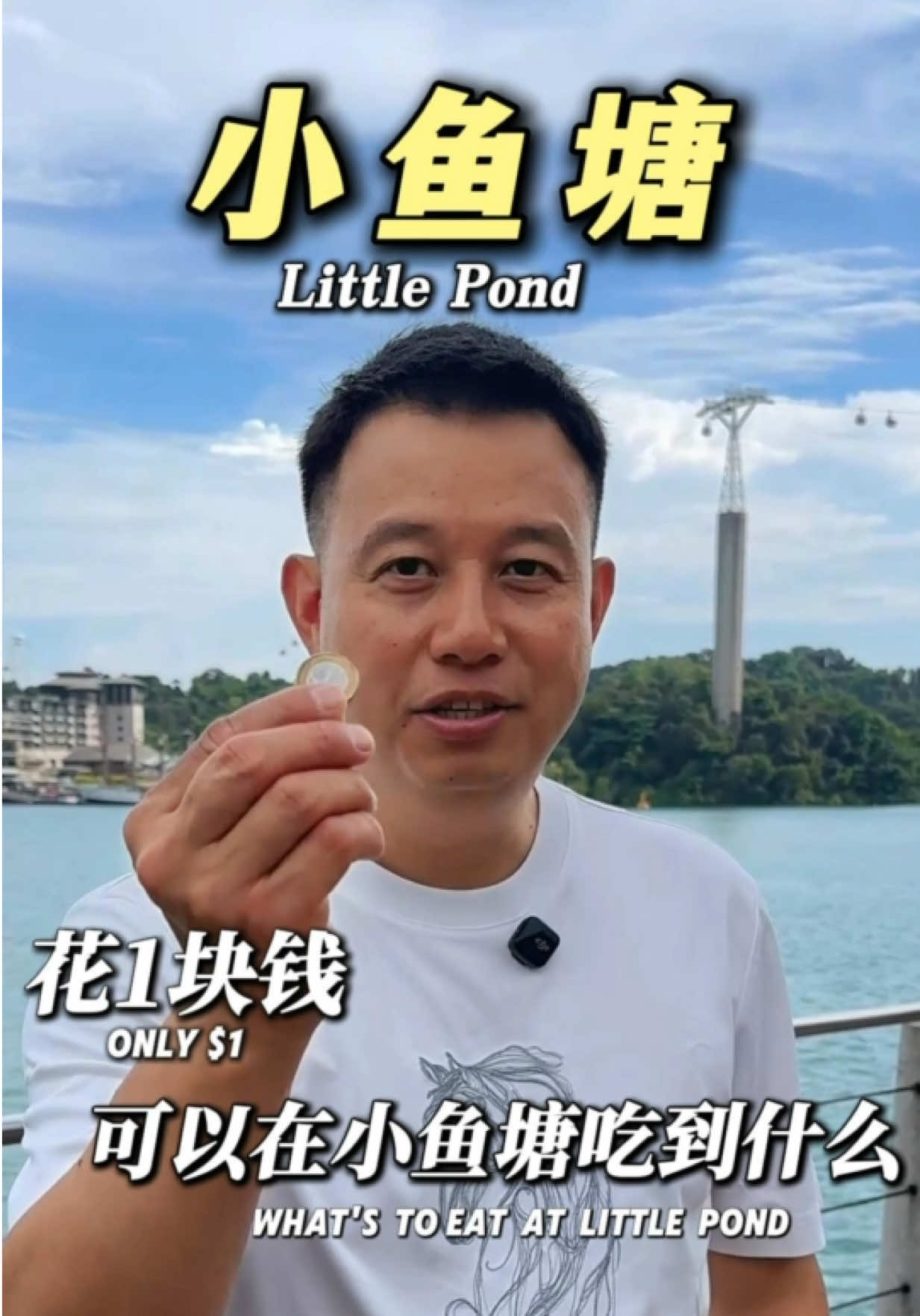 @littlelondjacky 只花1块钱，能在小鱼塘吃到哪些#新加坡中餐  #新加坡美食 #酸菜鱼 #新加坡旅游 #儿童套餐 …