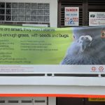 Bishan CC’s Poetic ‘Don’t Feed Pigeons’ Signs Win Over S’poreans, Many Inspired To Write Their Own Anti-Bird Feeding Rhymes