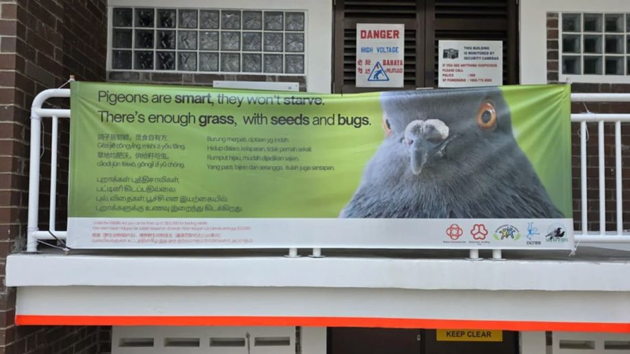 Bishan CC’s Poetic ‘Don’t Feed Pigeons’ Signs Win Over S’poreans, Many Inspired To Write Their Own Anti-Bird Feeding Rhymes