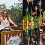 Singapore Garden Festival returns for 10th edition with a ‘roller coaster’, mirror maze and floral competitions