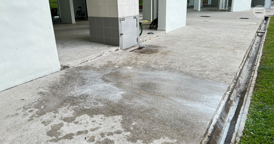 26-year-old woman dies in hospital after falling from HDB block in Yishun, Singapore News