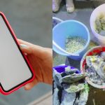 Marine foraging chat group with nearly 900 members disbands after public backlash, Singapore News