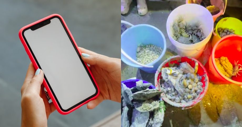 Marine foraging chat group with nearly 900 members disbands after public backlash, Singapore News Marine foraging chat group with nearly 900 members disbands after public backlash, Singapore News