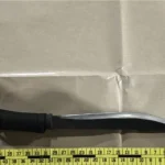 Singapore arrests: Abduction and weapon possession