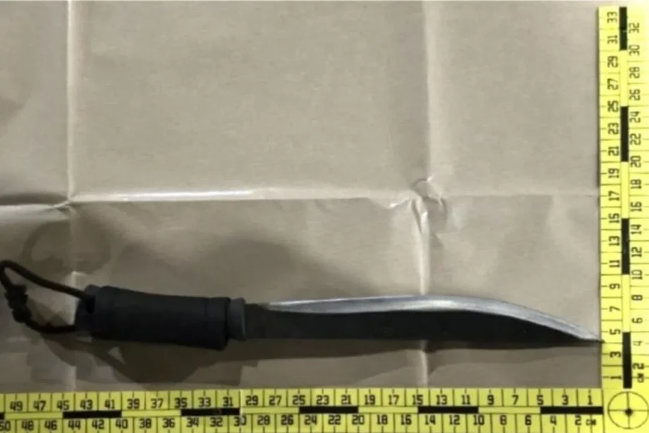 Singapore arrests: Abduction and weapon possession