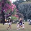What parents want: More childcare leave and family support