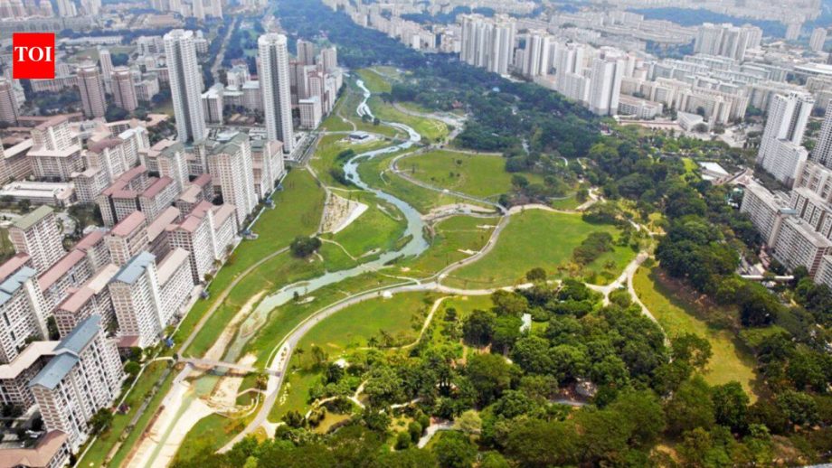 Singapore: In 2012, Singapore replaced a 2.7 km concrete drainage channel with a 3 km winding river; biodiversity in the park increased by 30%