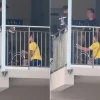 Elderly cyclist seen kneeling before LTA enforcement officers on bridge; authority says its employees could have been ‘more sensitive’