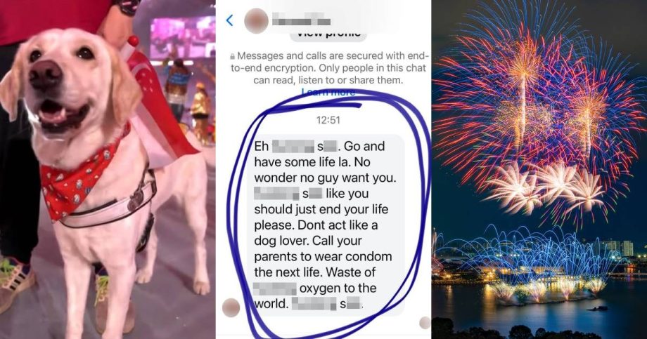 ‘Don’t act like a dog lover’: Guide dog advocate says she received offensive message over NDP fireworks debate, Singapore News ‘Don’t act like a dog lover’: Guide dog advocate says she received offensive message over NDP fireworks debate, Singapore News