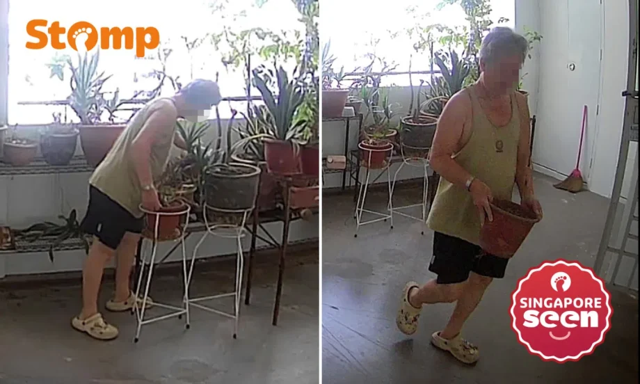 Sengkang resident upset after alleged flower pot theft