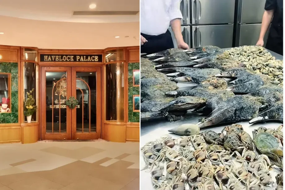 Havelock Palace apologises for Changi Beach seafood Havelock Palace apologises for Changi Beach seafood