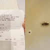 Woman says she found cockroach in soy milk, SFA investigating, Singapore News