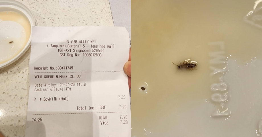Woman says she found cockroach in soy milk, SFA investigating, Singapore News Woman says she found cockroach in soy milk, SFA investigating, Singapore News