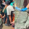 ‘My heart skipped a beat’: Mandai employees capture wild snake seen slithering outside exhibit, Singapore News