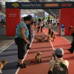 good pet fair kampong edition animals at kallang
