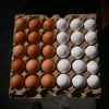 Worth a crack? US eggs make a comeback in Singapore after more than 20 years