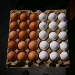 Worth a crack? US eggs make a comeback in Singapore after more than 20 years