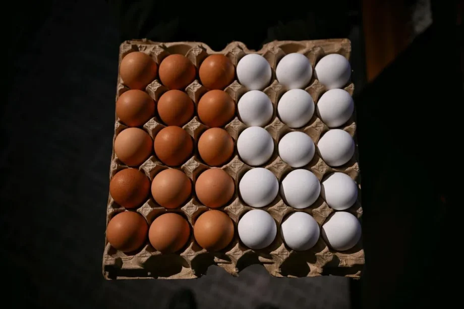 Worth a crack? US eggs make a comeback in Singapore after more than 20 years Worth a crack? US eggs make a comeback in Singapore after more than 20 years