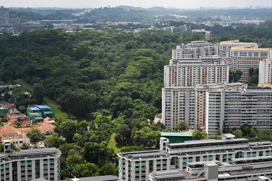 Gillman Barracks, Maju Forest need to be developed to meet housing needs over next decade: Alvin Tan Gillman Barracks, Maju Forest need to be developed to meet housing needs over next decade: Alvin Tan