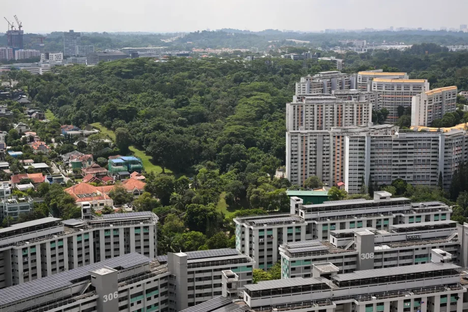 More green spaces to be retained in Gillman Barracks and Maju Forest: Alvin Tan