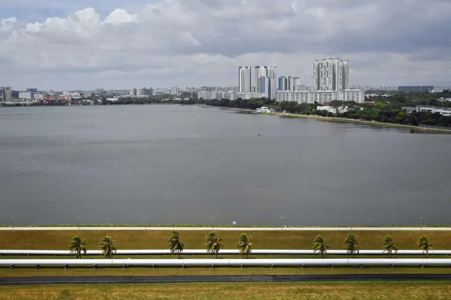 Crocodile sighted at Pandan Reservoir