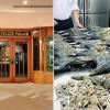 Singapore restaurant apologises for cooking seafood foraged from Changi Beach